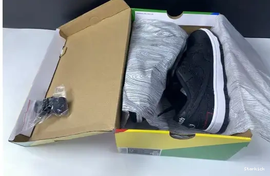 Youth Nike Wasted Low DD8386-001 SB Dunk - 0706